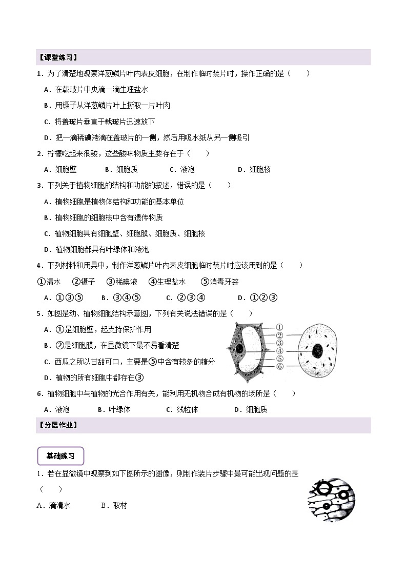 【新教材】苏教版生物七年级上册1.1.3 植物细胞的结构与功能 课件+学案03