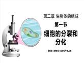 【新教材】苏教版生物七年级上册1.2.1细胞的分裂和分化 课件+学案（含答案）