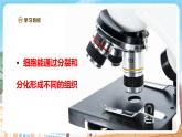 【新教材】苏教版生物七年级上册1.2.1细胞的分裂和分化 课件+学案（含答案）