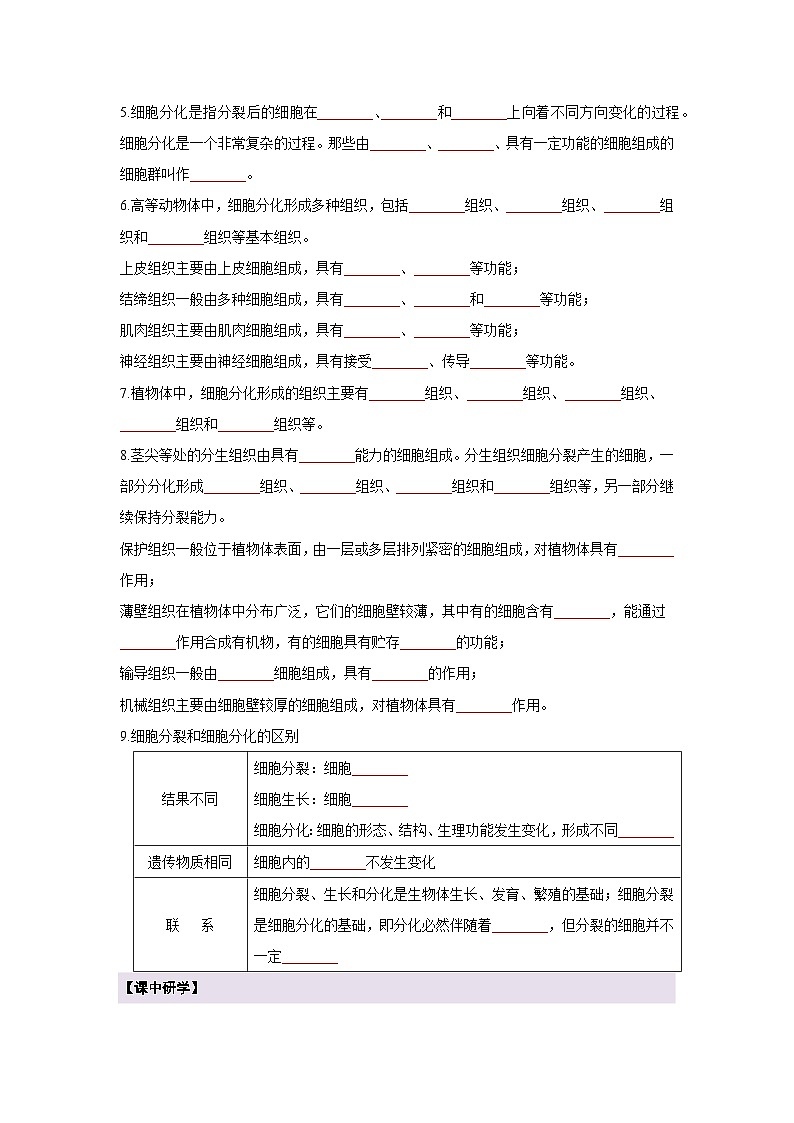 【新教材】苏教版生物七年级上册1.2.1细胞的分裂和分化 课件+学案（含答案）02