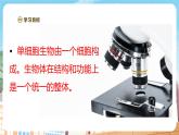 【新教材】苏教版生物七年级上册1.2.2 单细胞生物 课件+学案（含答案）