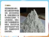 【新教材】苏教版生物七年级上册1.2.2 单细胞生物 课件+学案（含答案）