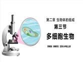 【新教材】苏教版生物七年级上册1.2.3 多细胞生物 课件+学案（含答案）