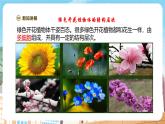 【新教材】苏教版生物七年级上册1.2.3 多细胞生物 课件+学案（含答案）