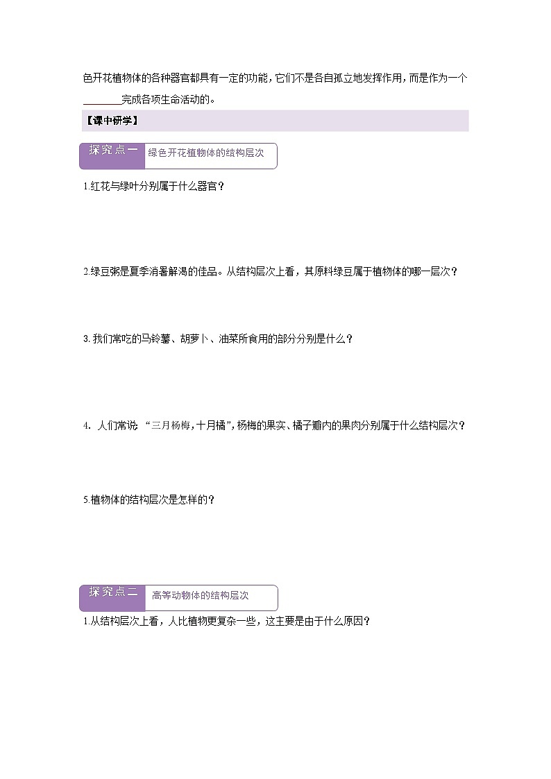 【新教材】苏教版生物七年级上册1.2.3 多细胞生物 课件+学案（含答案）02