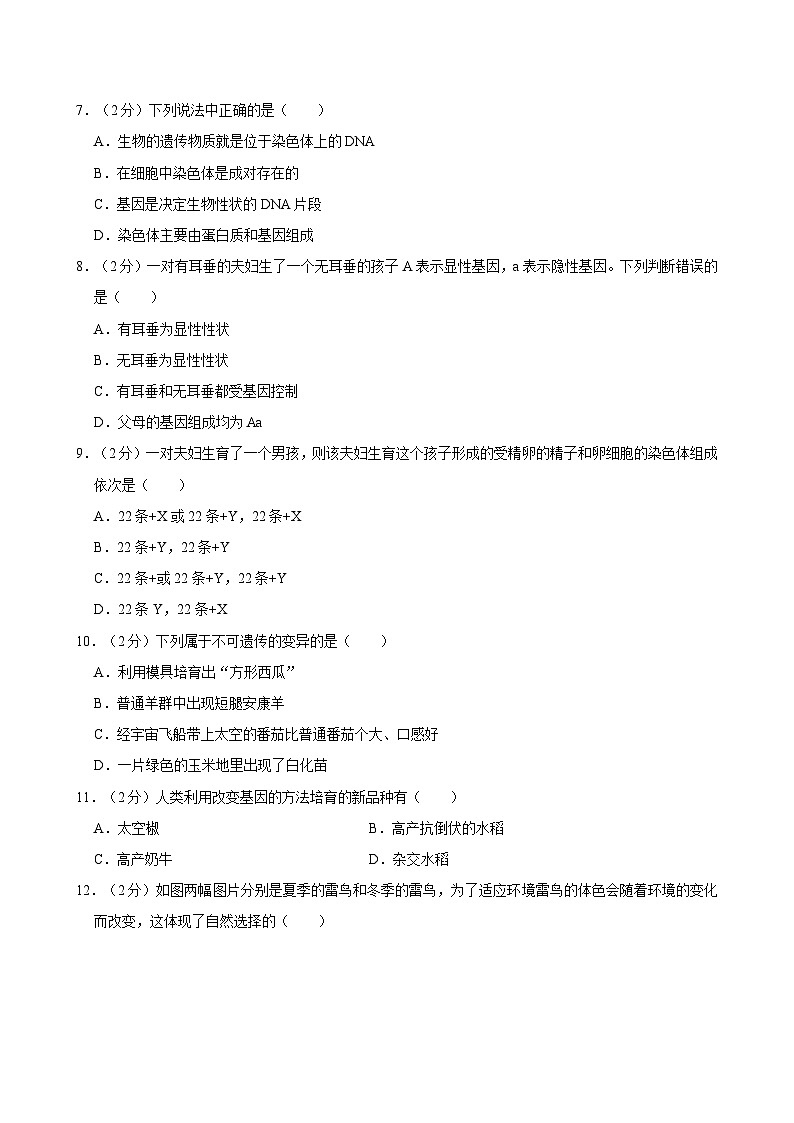 甘肃省武威市第十六中学联片教研2023-2024学年八年级下学期期末考试生物试卷02