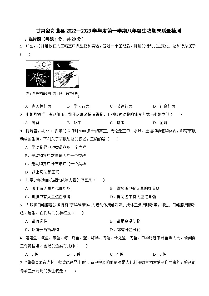 甘肃省舟曲县2022—2023学年八年级下学期期末质量检测+生物试题01