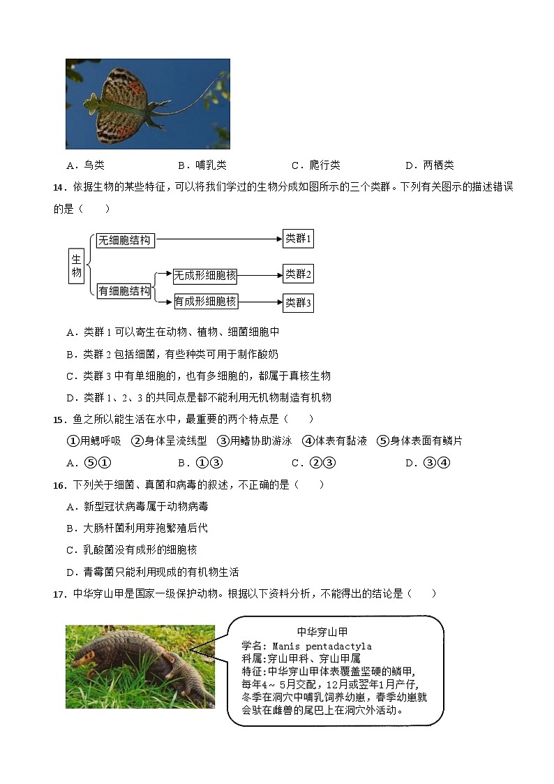甘肃省舟曲县2022—2023学年八年级下学期期末质量检测+生物试题03