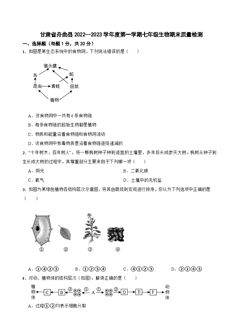 甘肃省舟曲县2022—2023学年七年级下学期+期末质量检测生物试题第1页