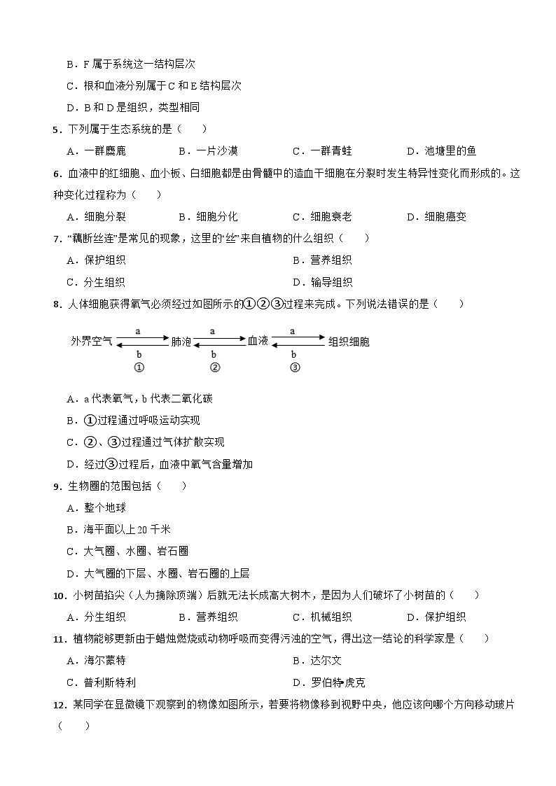 甘肃省舟曲县2022—2023学年七年级下学期+期末质量检测生物试题第2页