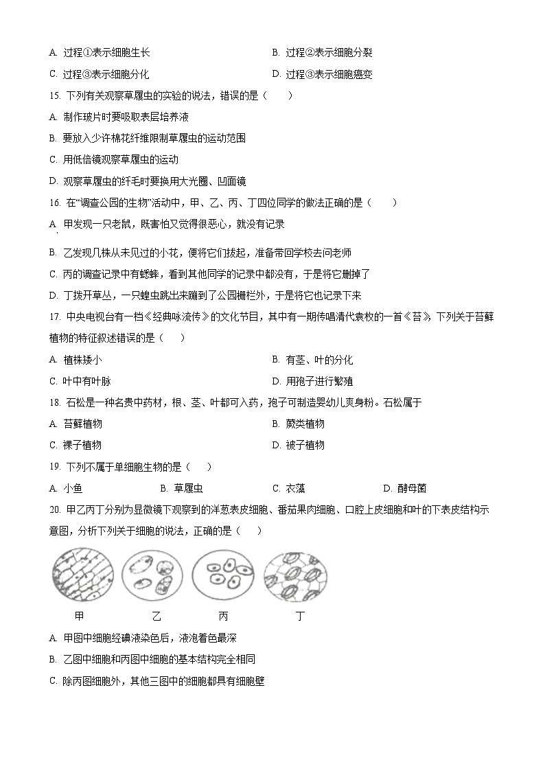 山西省太原市实验中学校2024-2025学年七年级上学期开学生物试题（原卷版+解析版）03