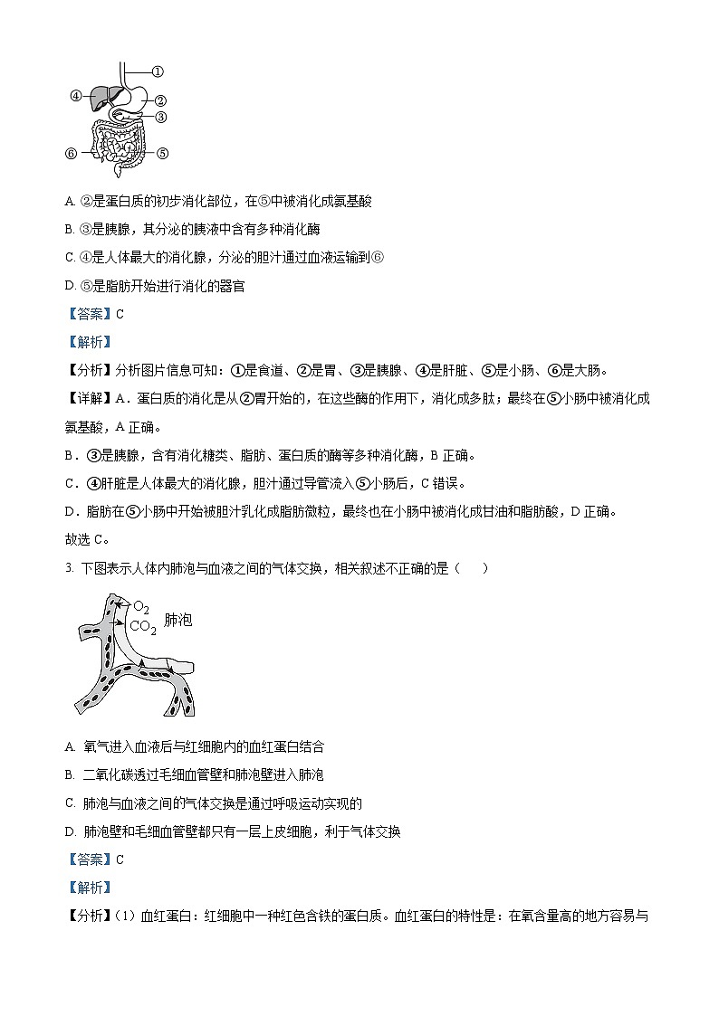 内蒙古赤峰市松山区2023-2024学年七年级下学期期末生物学试题（解析版）第2页