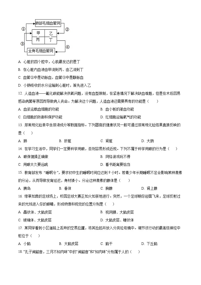 湖南省长沙市宁乡市2023-2024学年七年级下学期期末生物学试题（原卷版）第3页