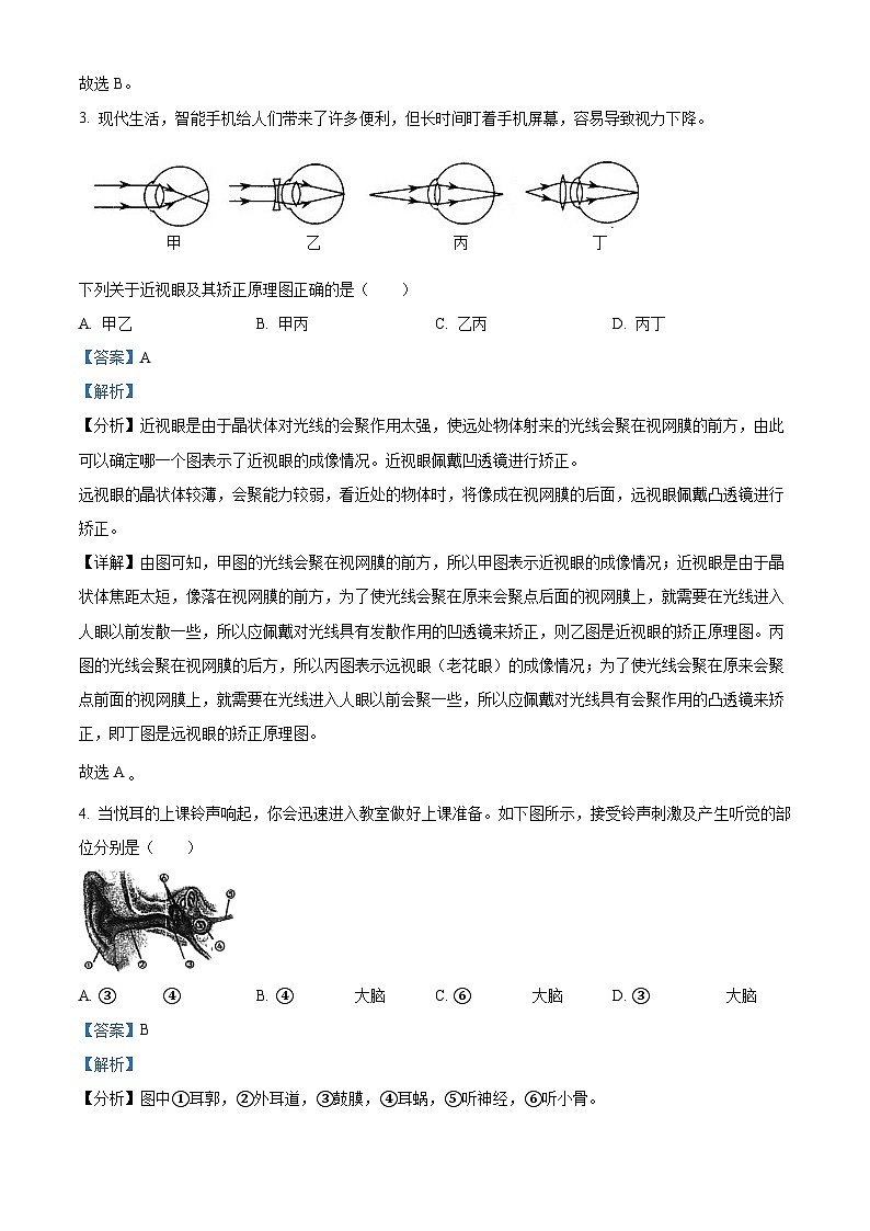 山东省淄博市张店区齐德学校2023-2024学年七年级下学期第一次月考生物试题（解析版）第2页