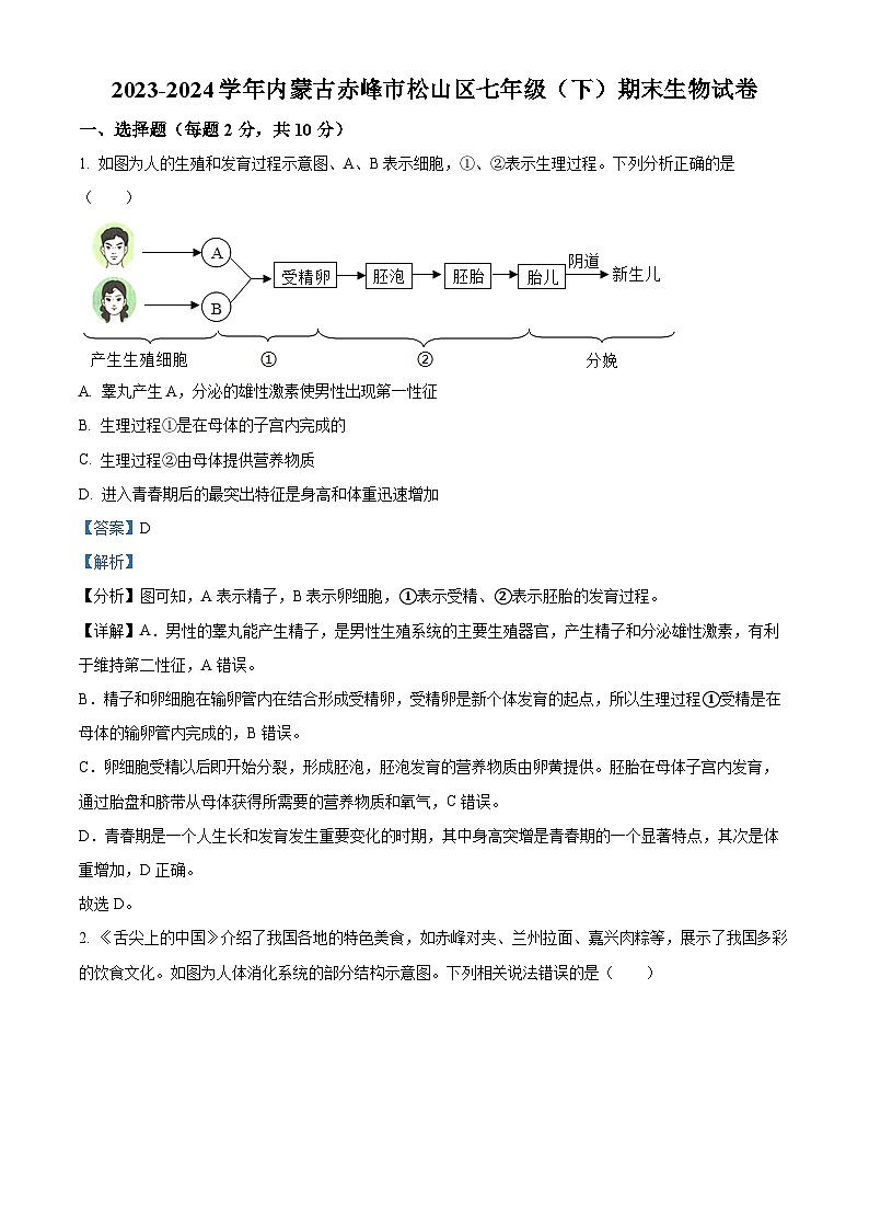 内蒙古赤峰市松山区2023-2024学年七年级下学期期末生物学试题（解析版）01