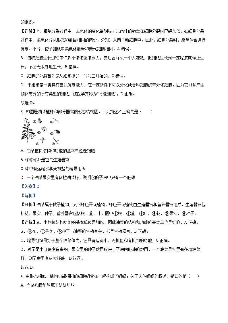 江苏省徐州市鼓楼十校2023-2024学年七年级下学期期中生物试题（解析版）第2页