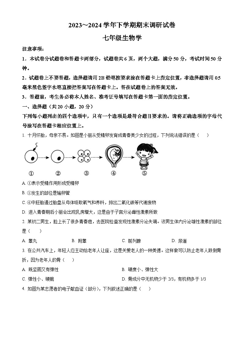 河南省舞钢市2023-2024学年七年级下学期期末生物试题（原卷版）第1页