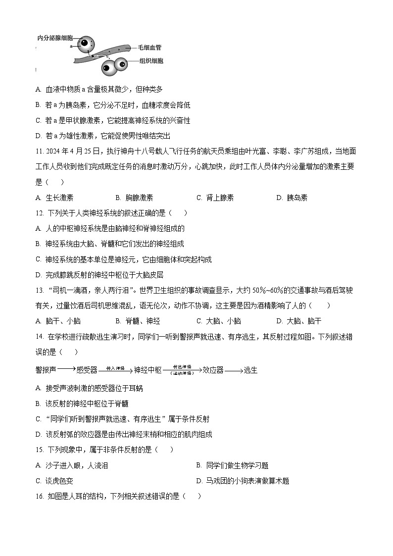 河南省舞钢市2023-2024学年七年级下学期期末生物试题（原卷版）第3页