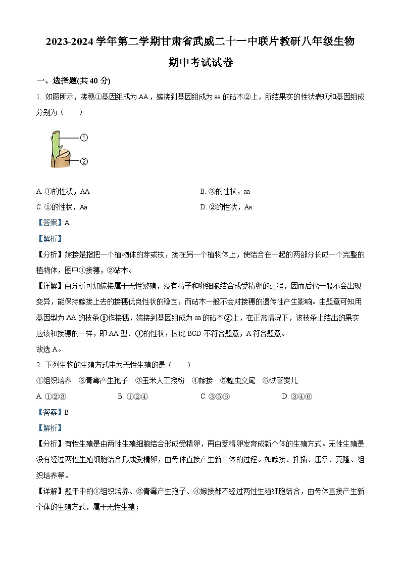 甘肃省武威二十一中联片教研2023-2024学年八年级下学期期中生物试题（解析版）第1页