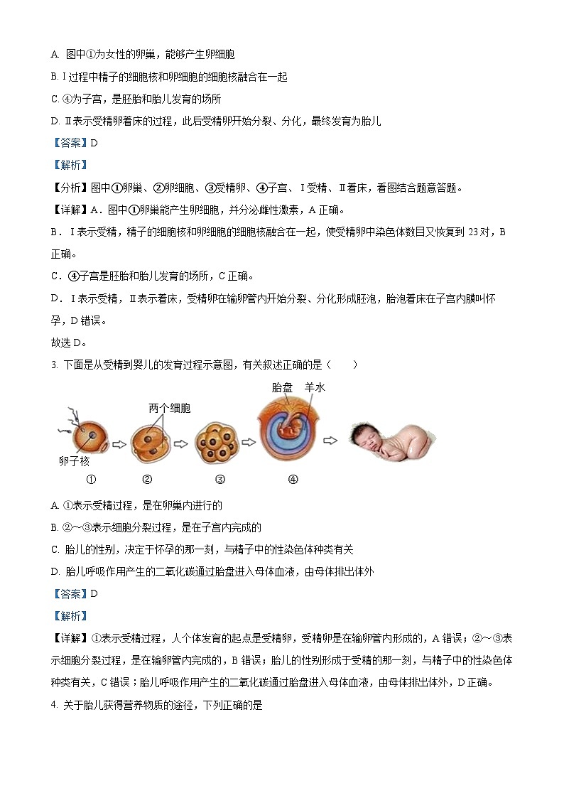 山东省临沂市河东区2023-2024学年七年级下学期期中生物学试题（解析版）02