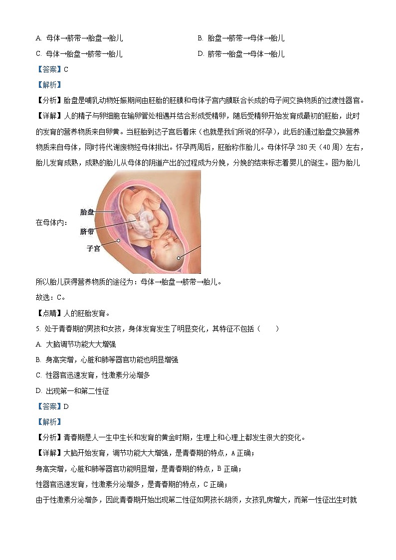 山东省临沂市河东区2023-2024学年七年级下学期期中生物学试题（解析版）03