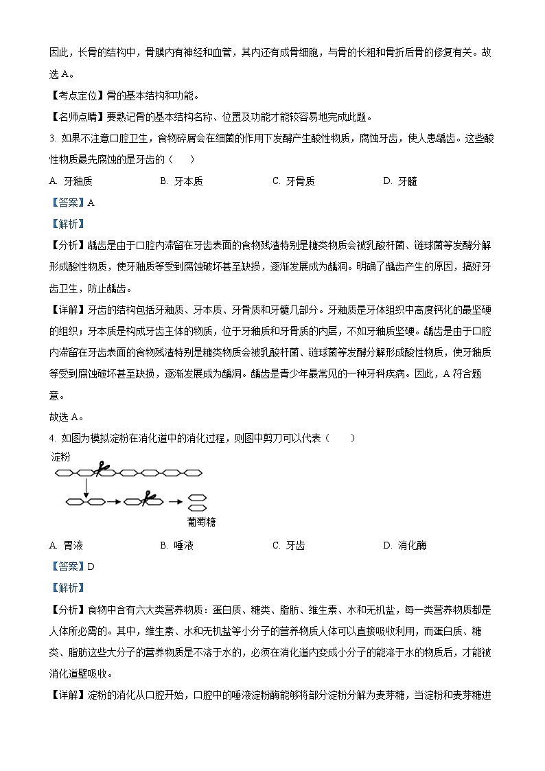 辽宁省沈阳市皇姑区2023-2024学年七年级下学期期末生物学试题（解析版）02