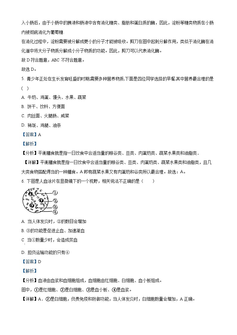 辽宁省沈阳市皇姑区2023-2024学年七年级下学期期末生物学试题（解析版）03