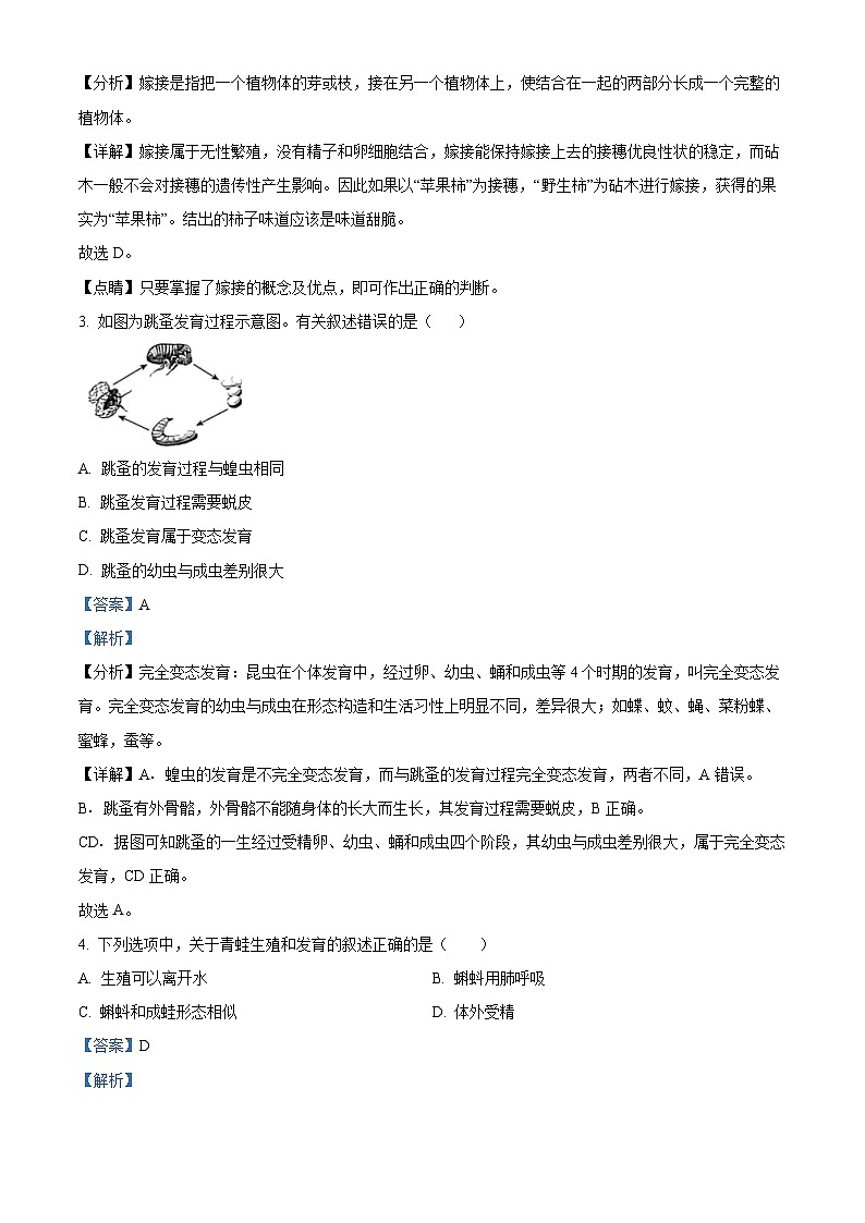 河南省信阳市固始县三河尖镇初级中学2023-2024学年八年级下学期第一次月考生物试题（解析版）第2页
