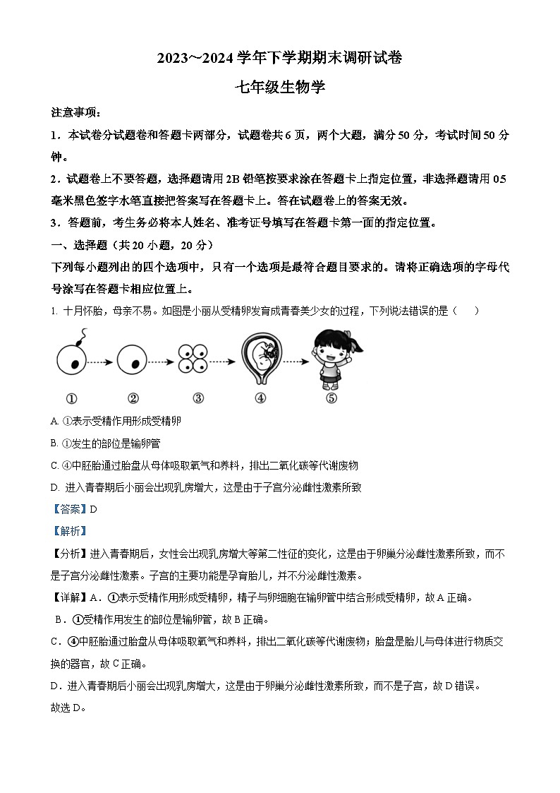 河南省舞钢市2023-2024学年七年级下学期期末生物试题（解析版）第1页