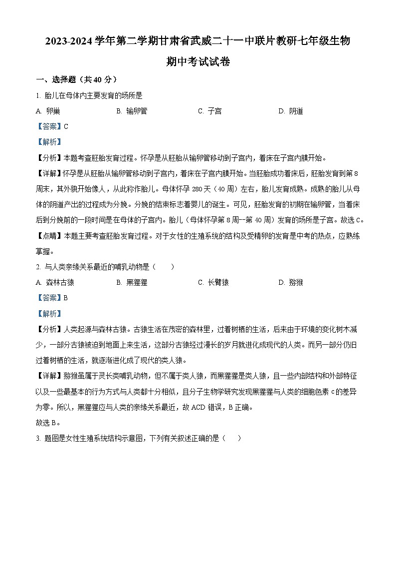 甘肃省武威二十一中联片教研2023-2024学年七年级下学期期中生物试题（解析版）01