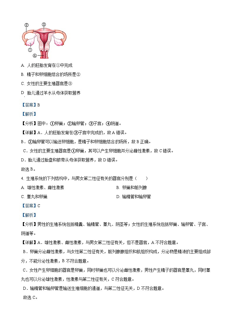 甘肃省武威二十一中联片教研2023-2024学年七年级下学期期中生物试题（解析版）02