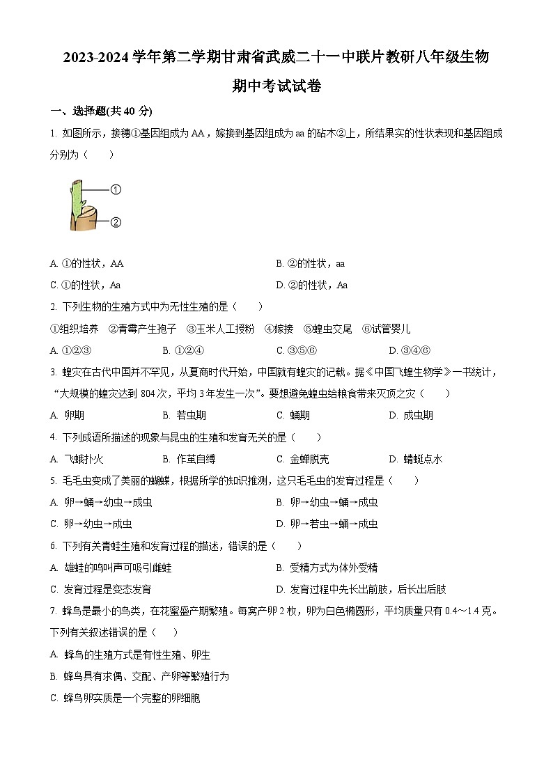 甘肃省武威二十一中联片教研2023-2024学年八年级下学期期中生物试题（原卷版）01
