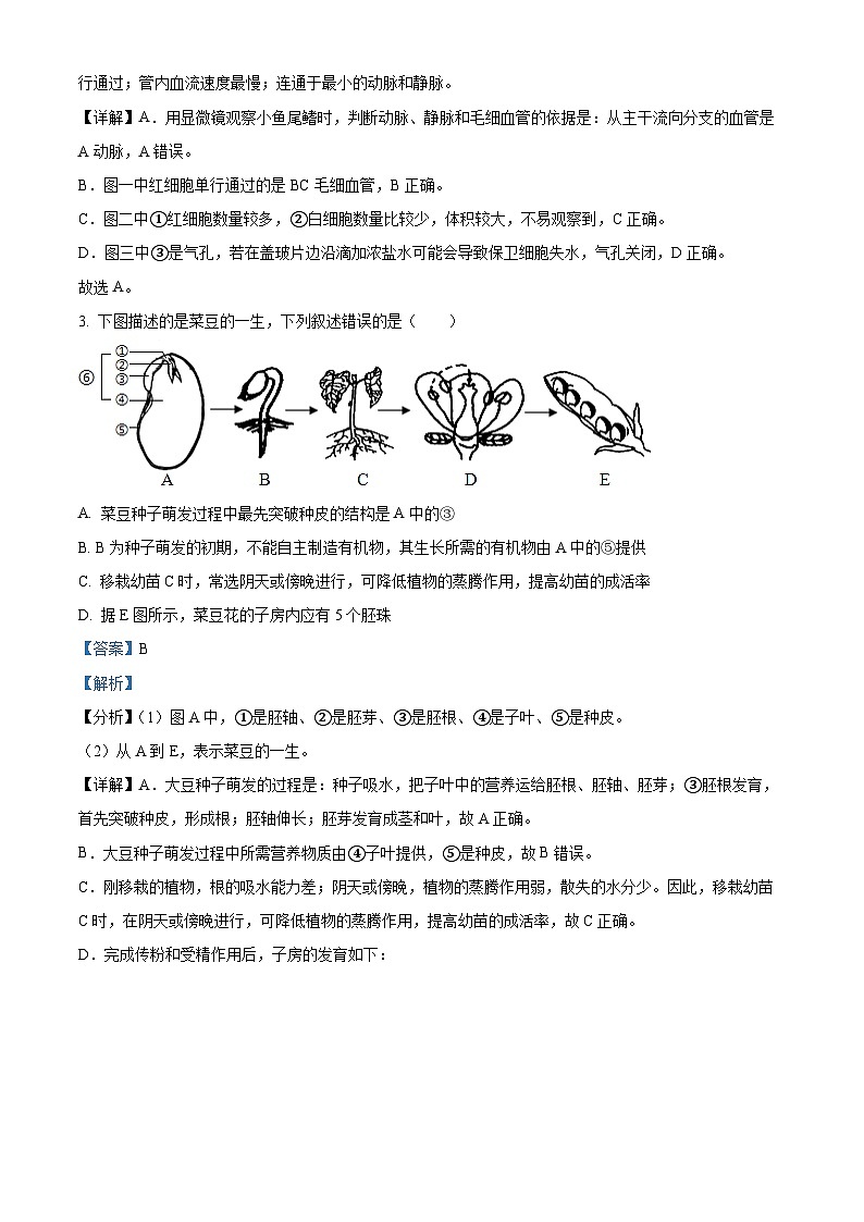 江苏省南通市通州区通州区金北学校2023-2024学年八年级下学期期中生物学试题（解析版）第3页