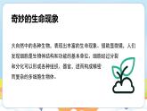 【新教材】济南版七年级生物上册第1单元第1章第1节生物具有基本的生命特征课件 课件