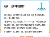 【新教材】济南版七年级生物上册第1单元第1章第1节生物具有基本的生命特征课件 课件