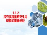 【新教材】济南版七年级生物上册第1单元第1章第2节探究实践是研究生命现象的重要途径 课件