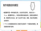 【新教材】济南版七年级生物上册第1单元第2章第1节细胞是生物体结构和功能的基本单位 课件
