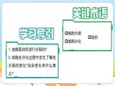 【新教材】济南版七年级生物上册第1单元第2章第2节细胞通过分裂和分化形成不同组织 课件