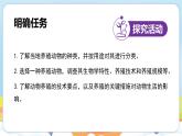 【新教材】济南版七年级生物上册第2单元第2章第1节无脊椎动物体内没有脊柱 课件