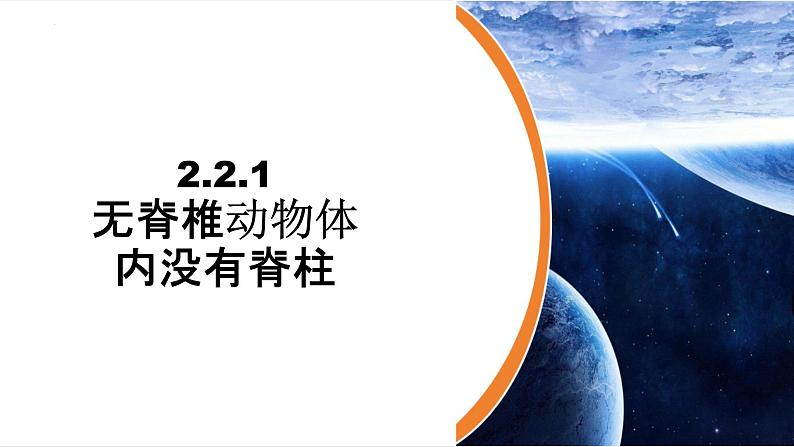 【新教材】济南版七年级生物上册第2单元第2章第1节无脊椎动物体内没有脊柱 课件07