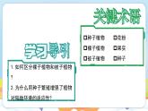【新教材】济南版七年级生物上册第2单元第1章第2节裸子植物和被子植物能用种子繁殖后代 课件
