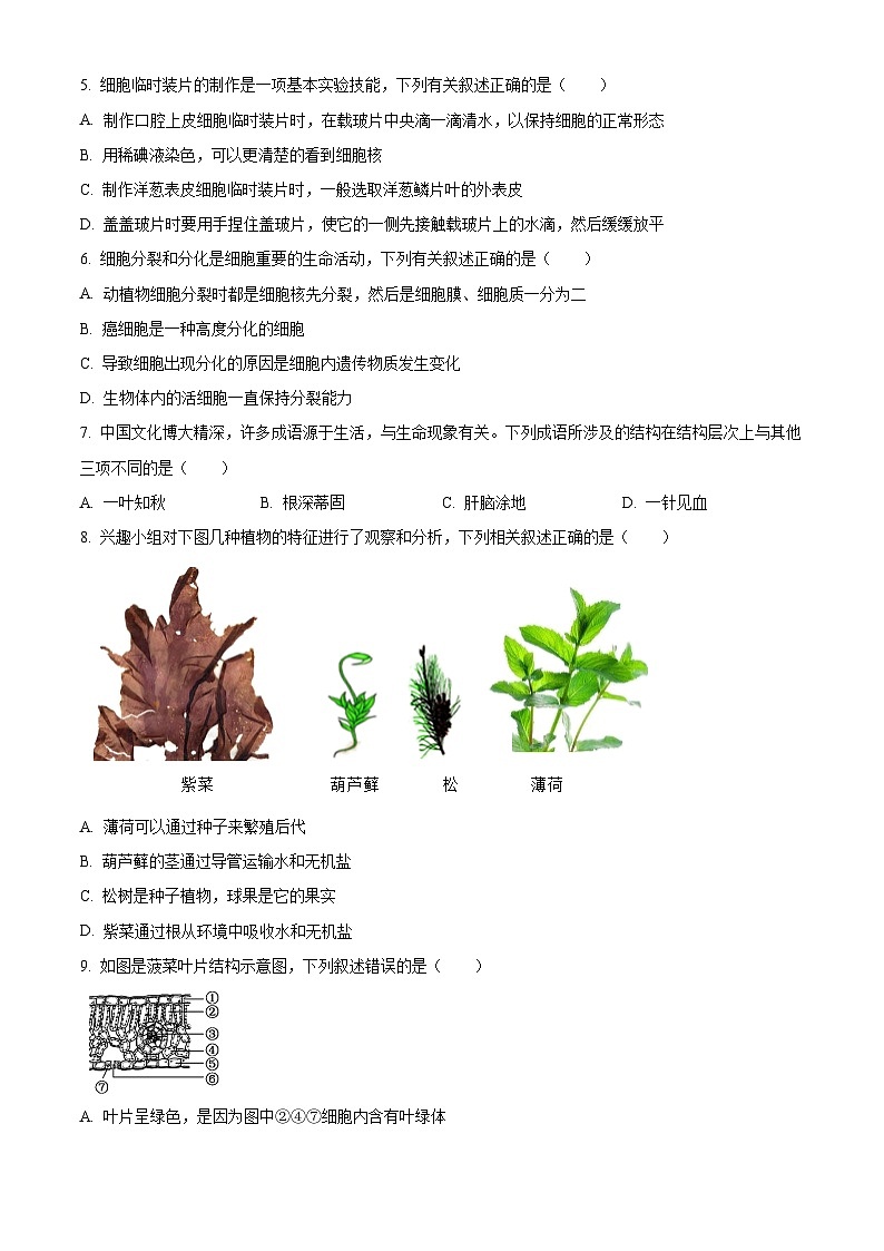 山东省滨州市滨城区2023-2024学年七年级上学期期末考试生物试题（原卷版）02