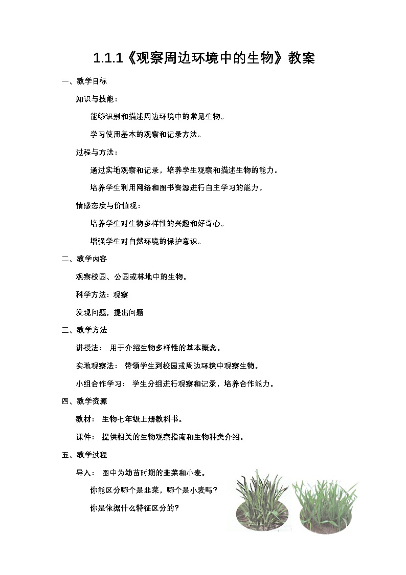 人教版（2024）初中生物学七年级上册1.1.1《观察周边环境中的生物》课件＋教案+学案+分层练习01