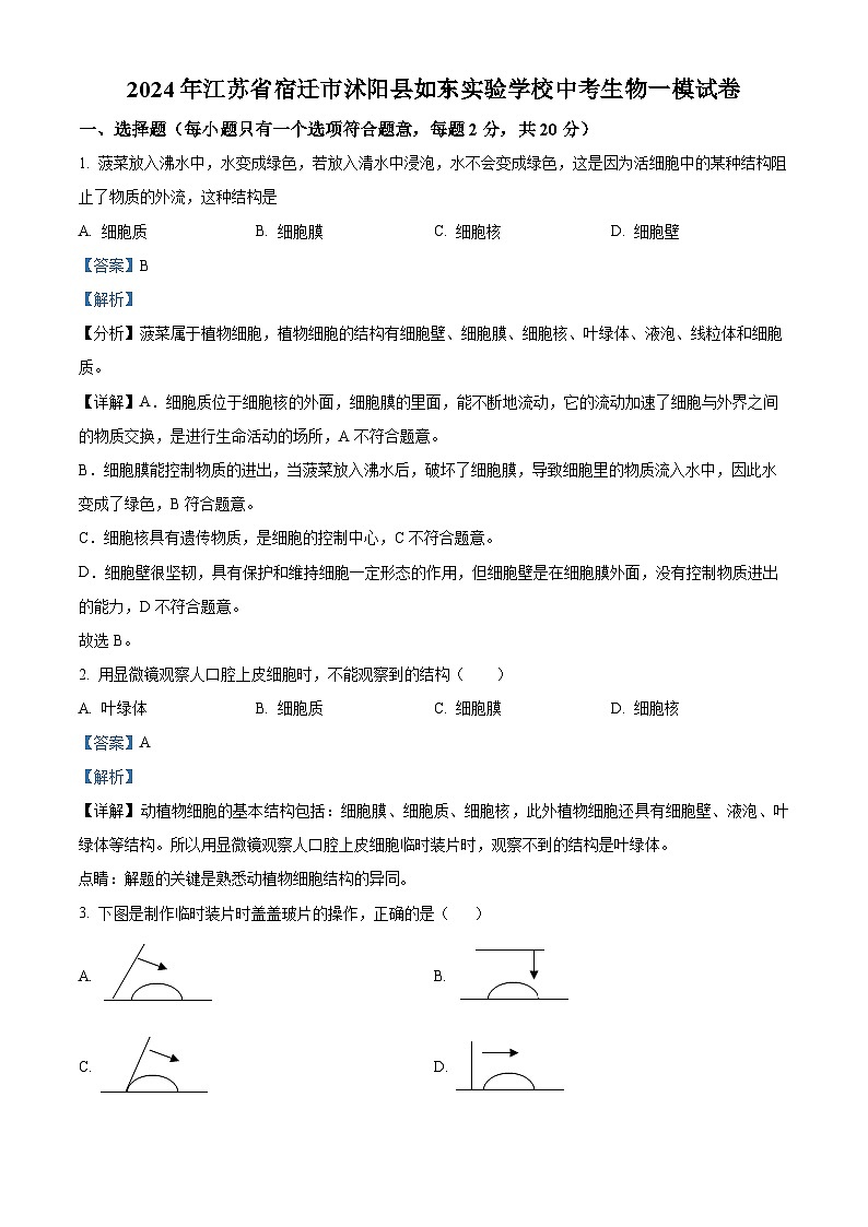 2024年江苏省宿迁市沭阳县如东实验学校中考一模生物试题（解析版）01