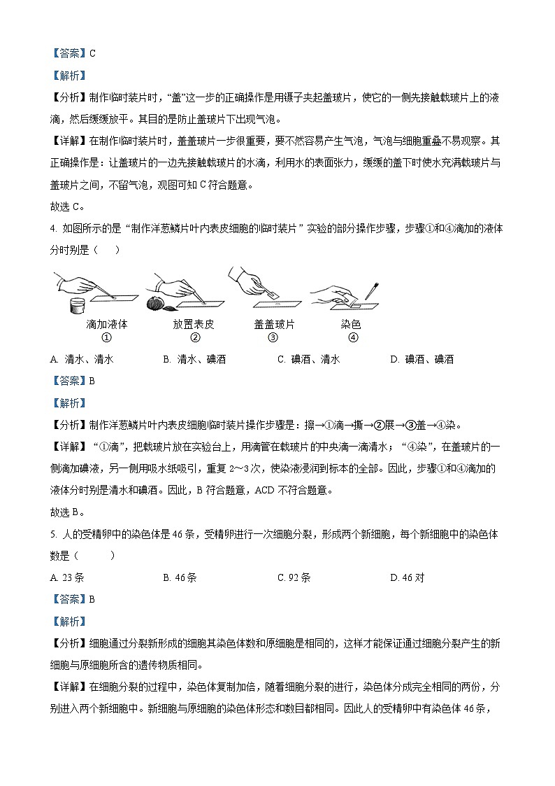 2024年江苏省宿迁市沭阳县如东实验学校中考一模生物试题（解析版）02