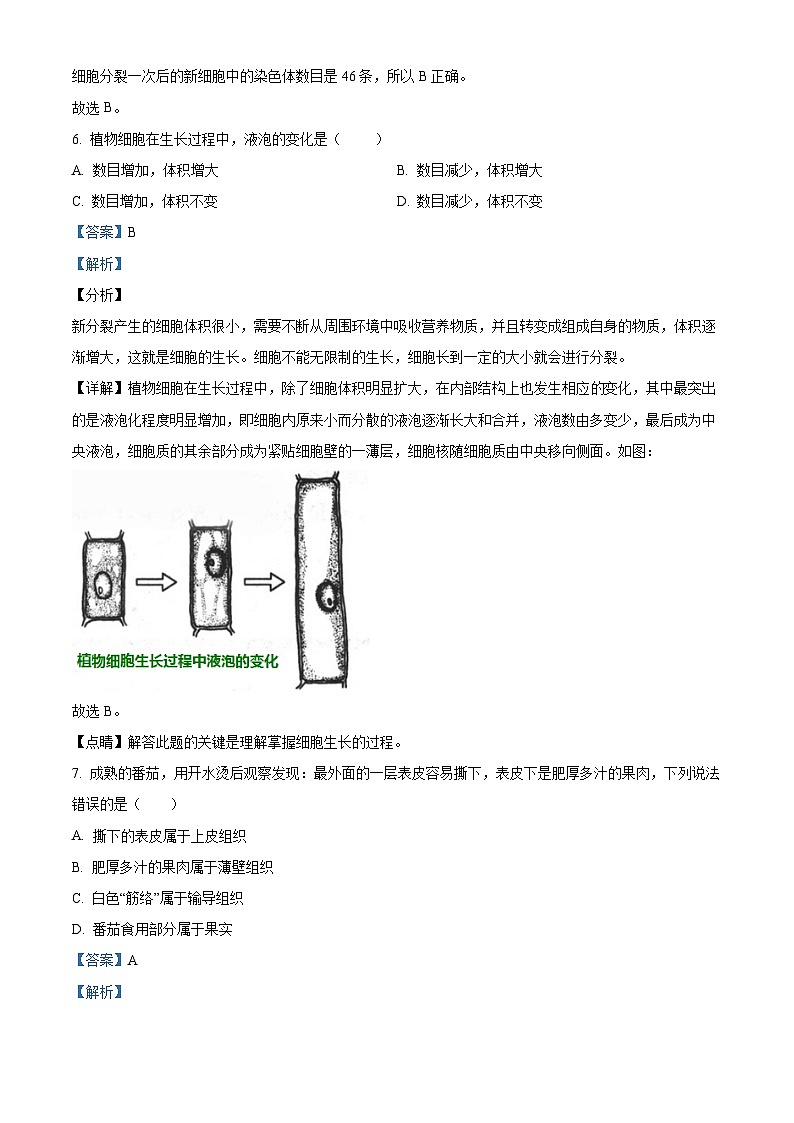 2024年江苏省宿迁市沭阳县如东实验学校中考一模生物试题（解析版）03