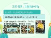 人教版（2024）初中生物学七年级上册1.1.2《生物的特征》课件＋教案+学案+分层练习