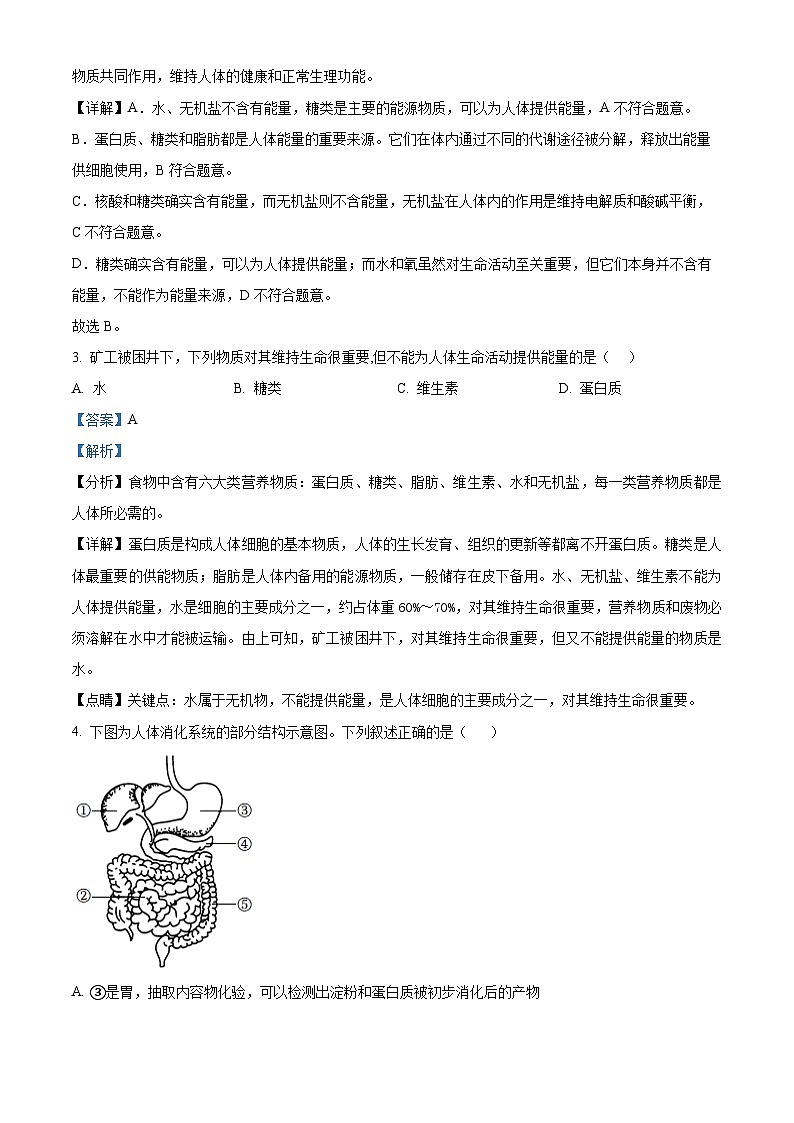 四川省眉山市仁寿县共同体期中联合2023-2024学年七年级下学期期中生物试题（解析版）第2页