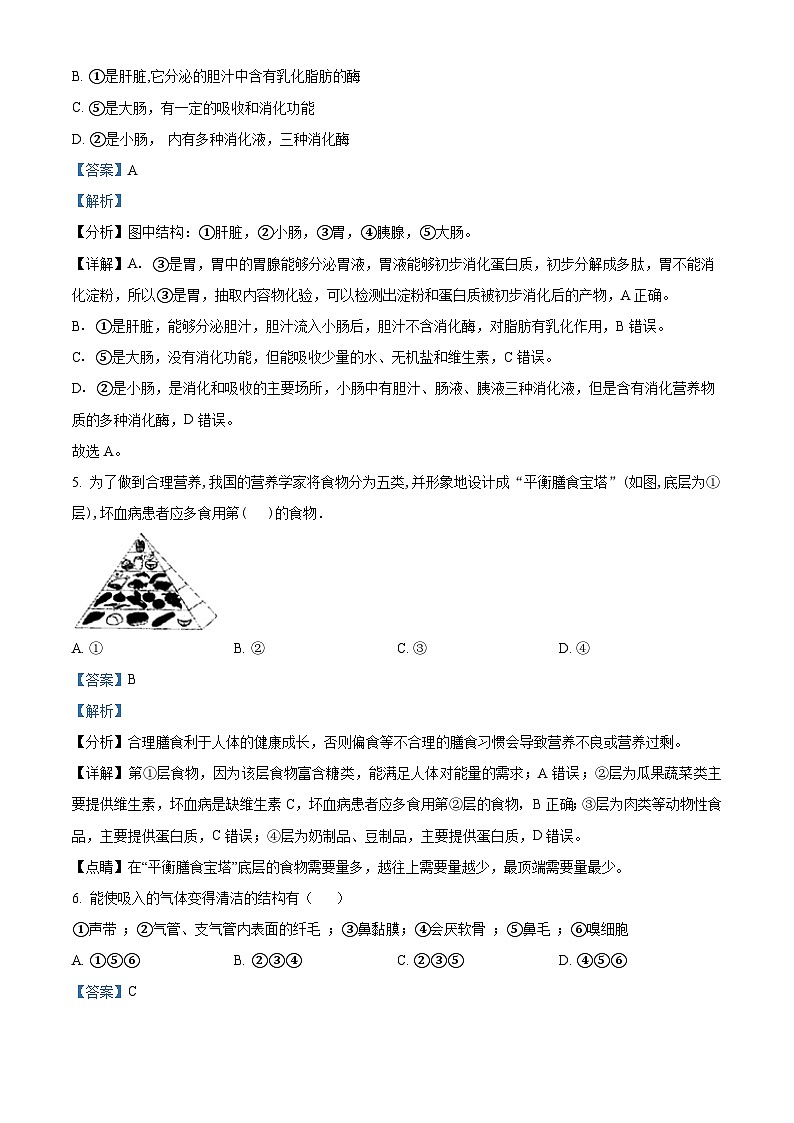 四川省眉山市仁寿县共同体期中联合2023-2024学年七年级下学期期中生物试题（解析版）第3页