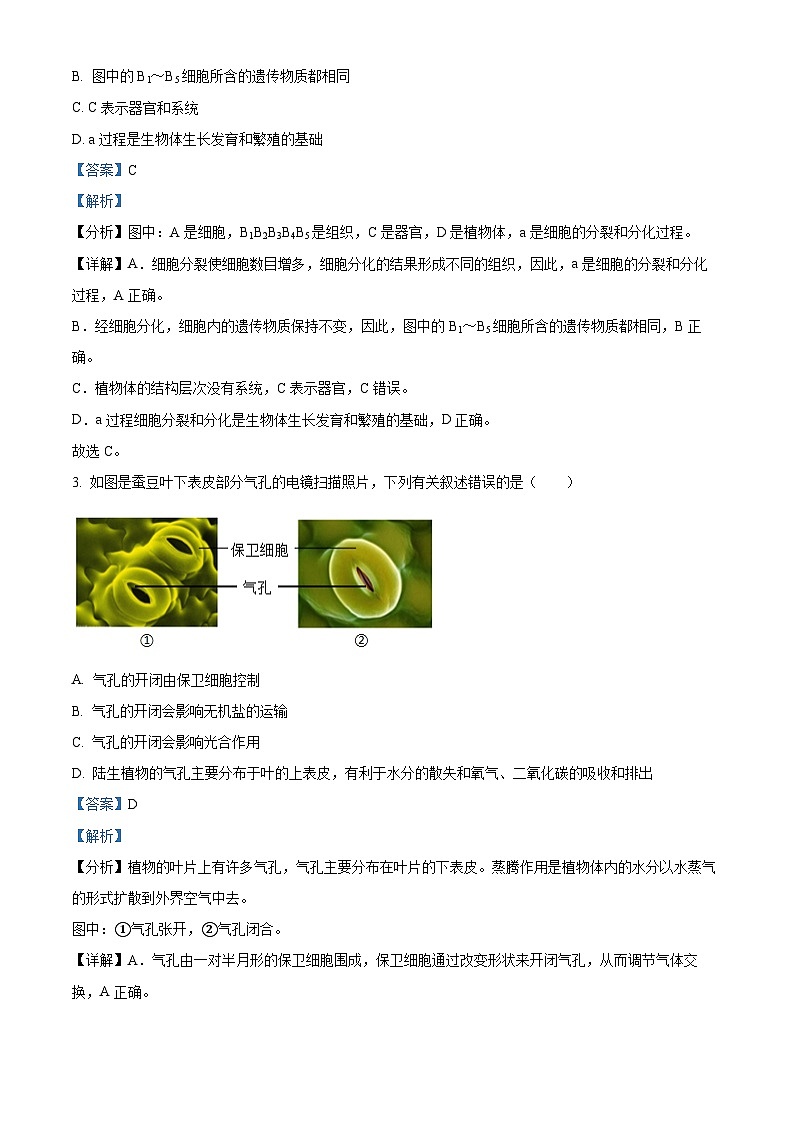 2024年山东省滨州市滨城区中考一模生物试题（原卷版+解析版）02